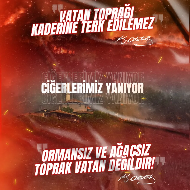 Post Tasarımı