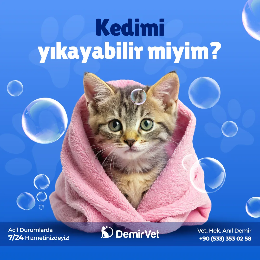 Post Tasarımı